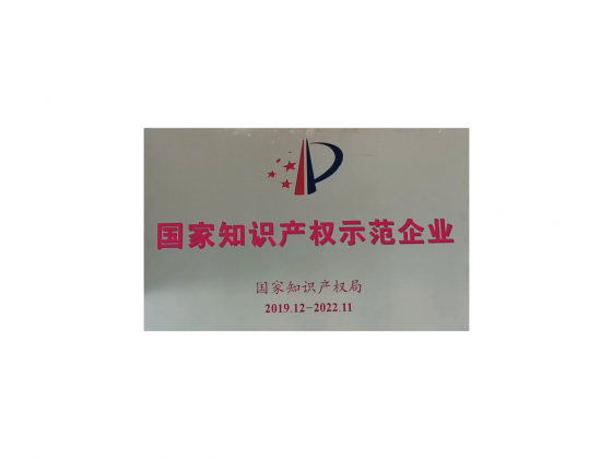 國家知識產(chǎn)權示范企業(yè)